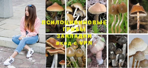 скорость Строитель