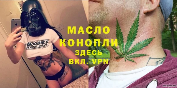 гидра Вяземский