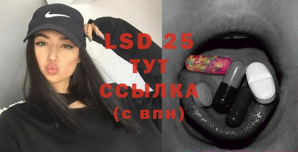 гидра Вяземский