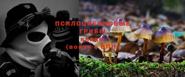 дживик Володарск