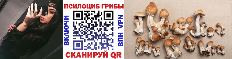 магазин    Питкяранта  Галлюциногенные грибы ЛСД 